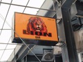 LION BARのサムネイル