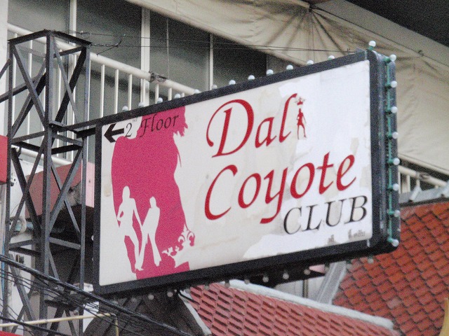 Dali Coyote Image