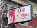 Dali Coyoteのサムネイル