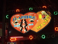 FLAMINGO Image
