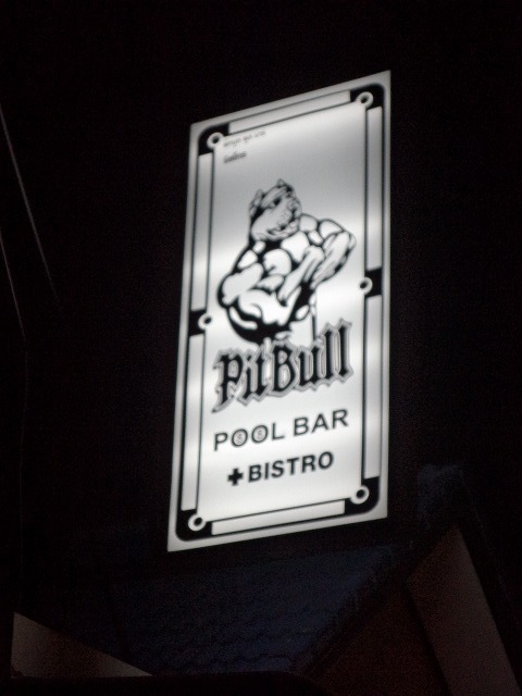 Pitbullの写真