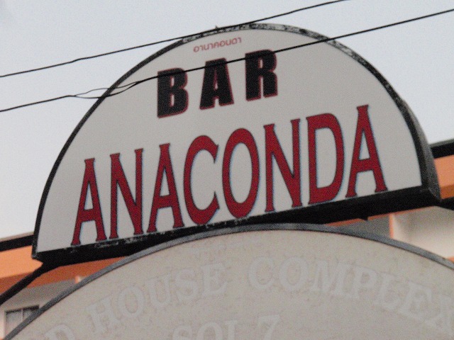 ANACONDAの写真