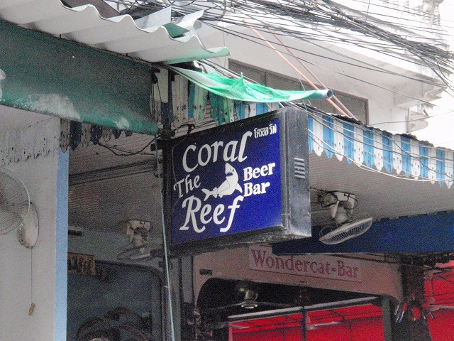 Coral The Reefの写真