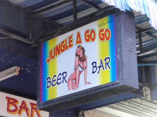 JUNGLE A GO GOの写真