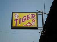 Tigerの写真