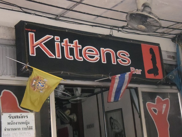 Kittens Image