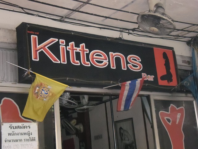 Kittensの写真