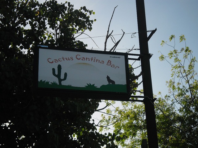 CACTUS CANTINA BARの写真