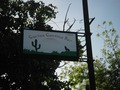 CACTUS CANTINA BAR Thumbnail