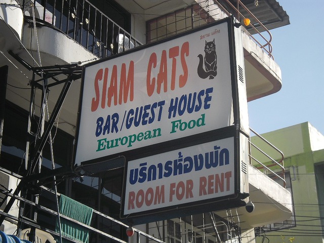 SIAM CATS Image