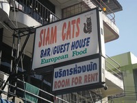 SIAM CATSの写真