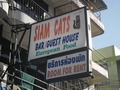 SIAM CATS Thumbnail