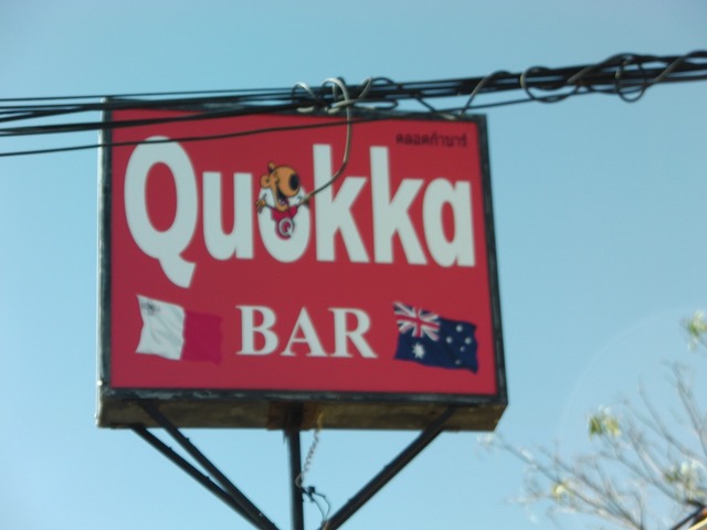 Quokka Bar Image