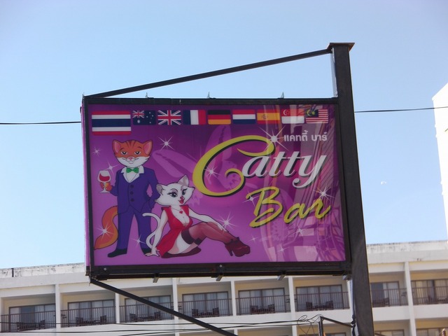 Catty Bar Image