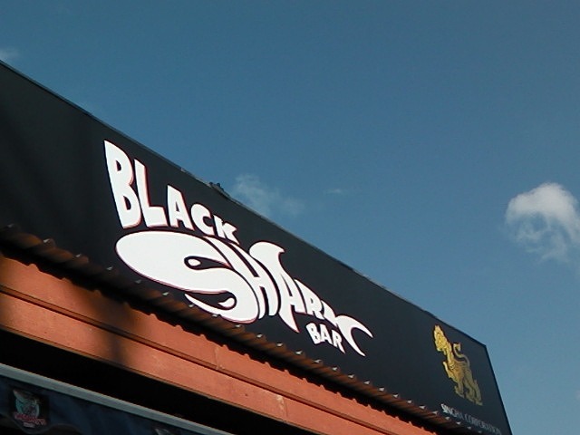 BLACK SHARKの写真