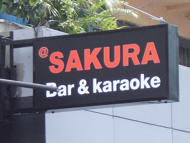 SAKURAの写真