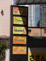 さざんかの写真