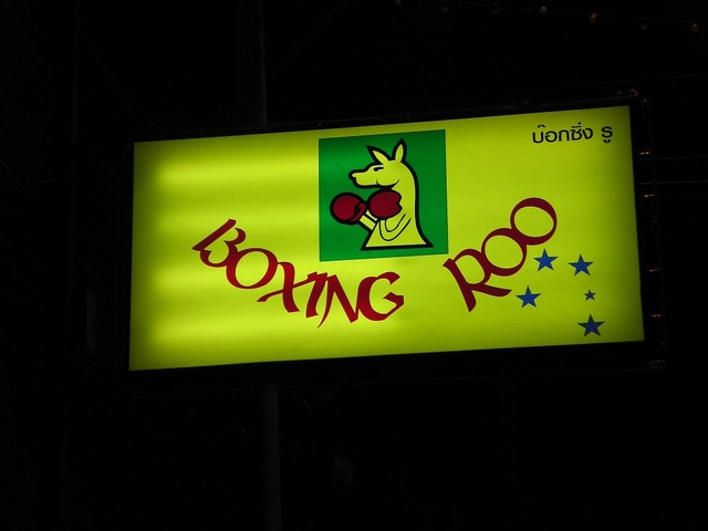 BOXING ROO Image