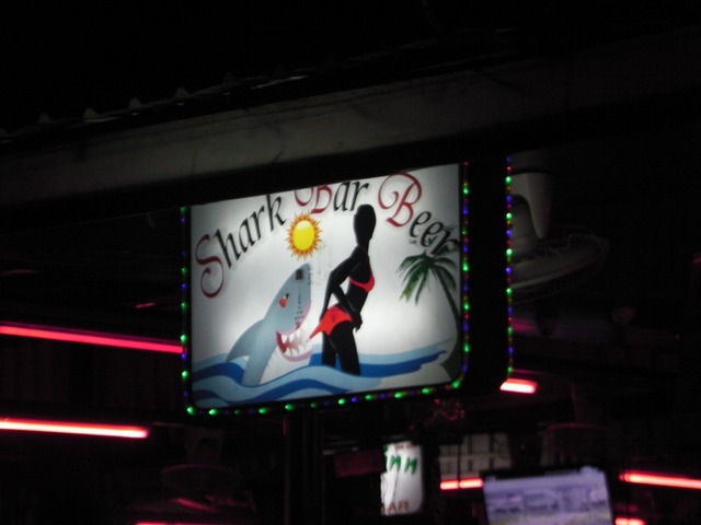 Shark Bar Beer Image
