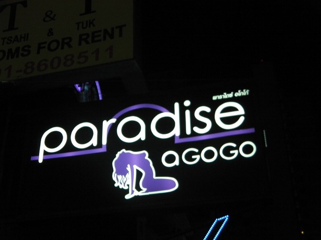 paradiseの写真