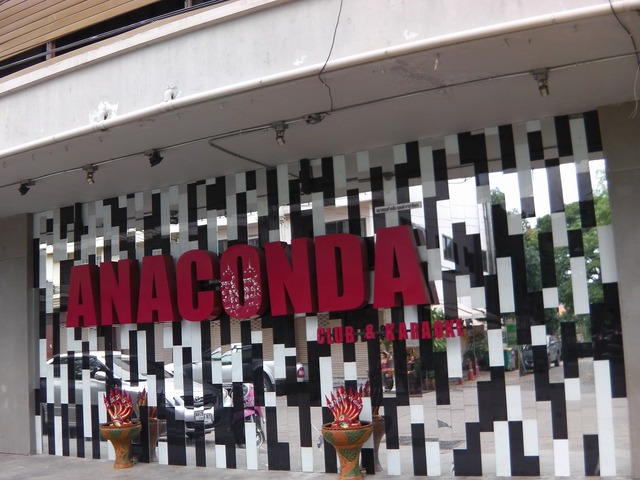 ANACONDAの写真