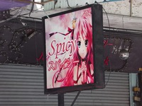 スパイシーの写真