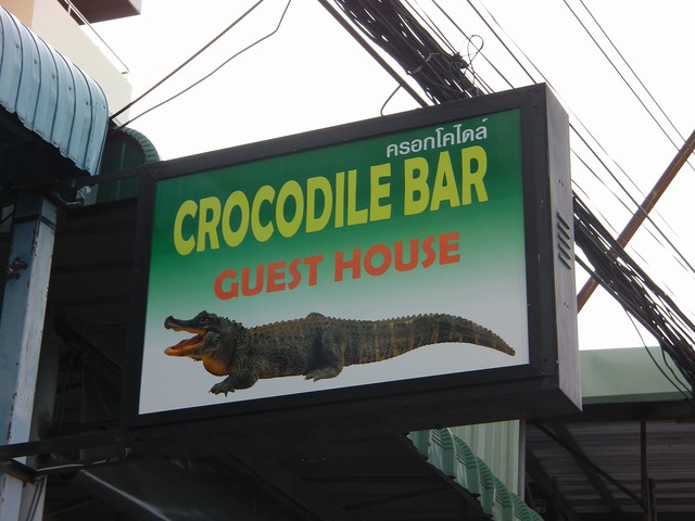 Crocodile Bar Pattaya Area Central Pattaya Pub Beer Bar ｜thailand Night Guide