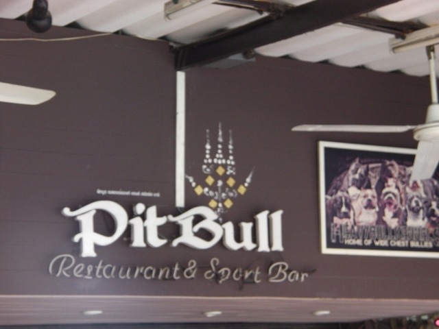 Pit Bullの写真