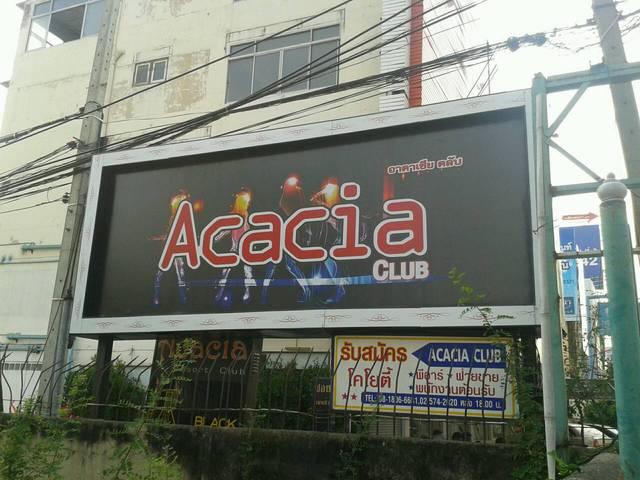 ACACIAの写真