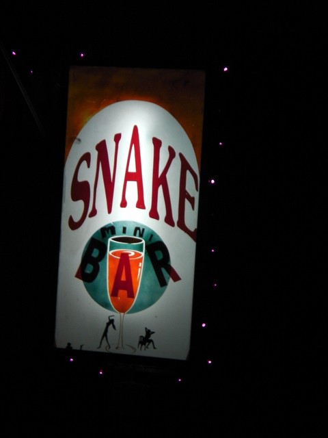 snakeの写真