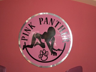 Pink Panther Image