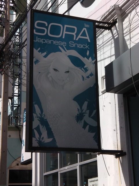 Sora Image