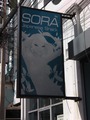 Soraのサムネイル