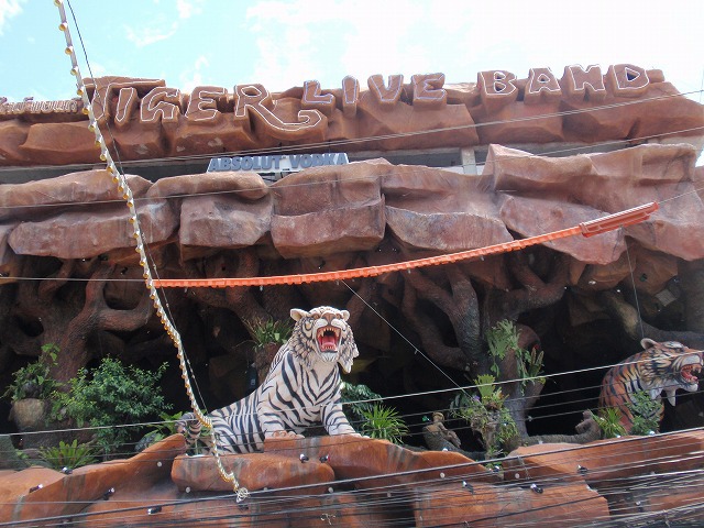 Hungry tiger Barの写真