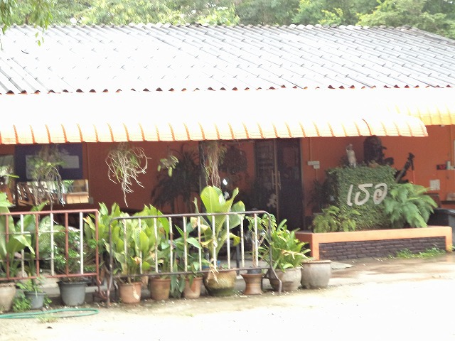 Teo Image