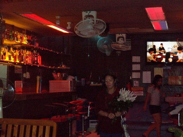 Darling Bar Image