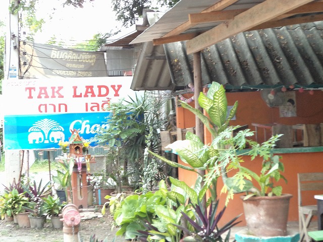 TAK LADY の写真