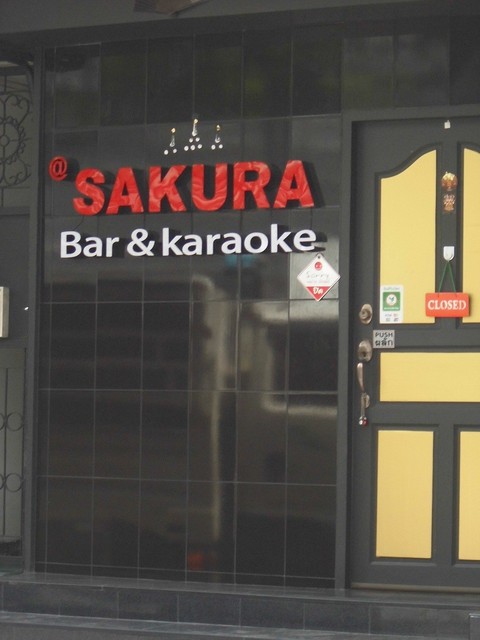 SAKURAの写真