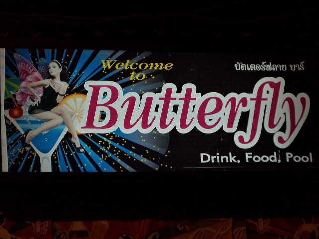 BUTTERFLYの写真