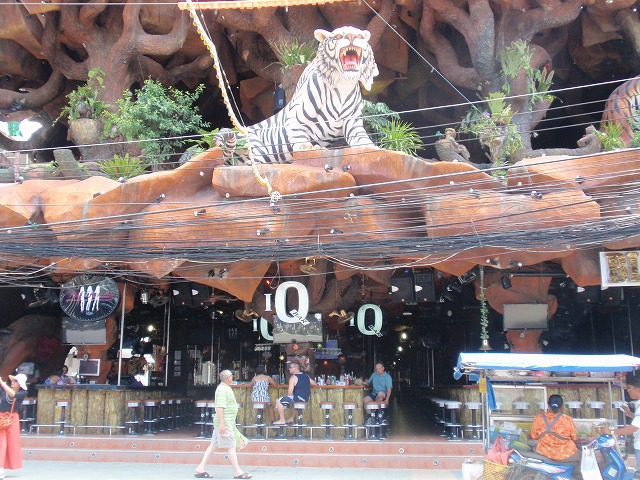 Little Tiger Barの写真