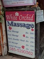 White Orchid のサムネイル