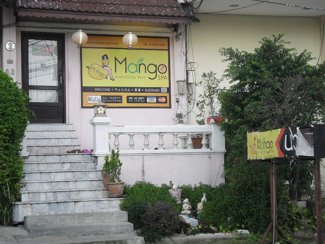 Mango SPA Image