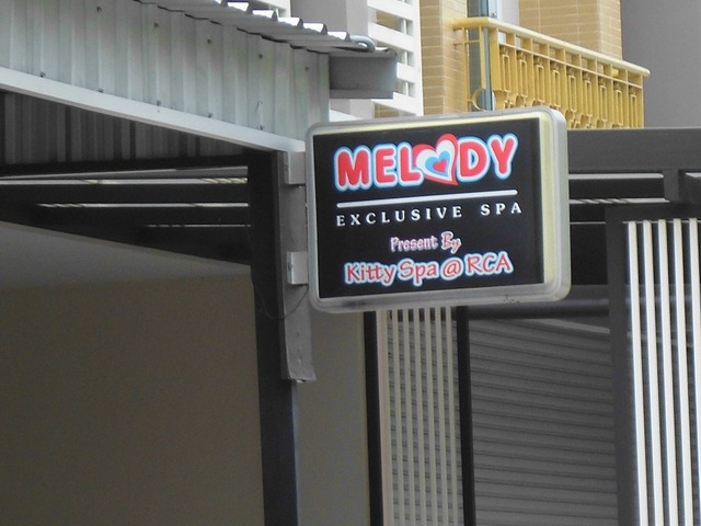 MELODYの写真