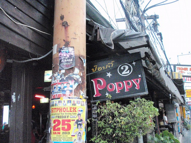 Poppy2の写真