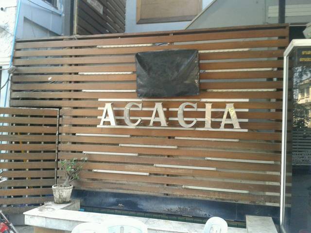 ACACIAの写真