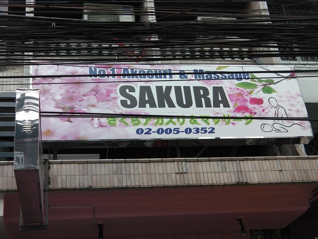 SAKURAの写真