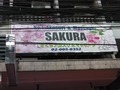 SAKURAのサムネイル