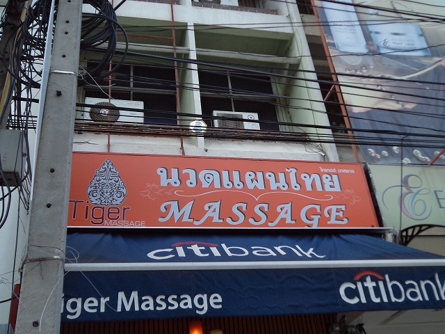 タイガーの写真