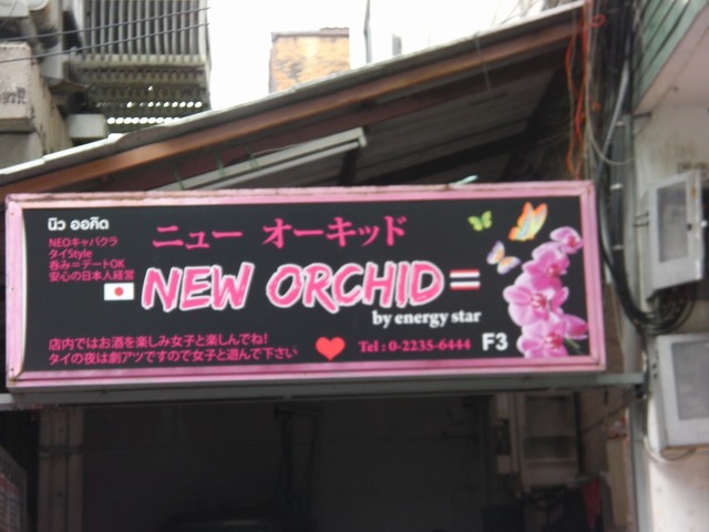 New Orchid(3F) Image