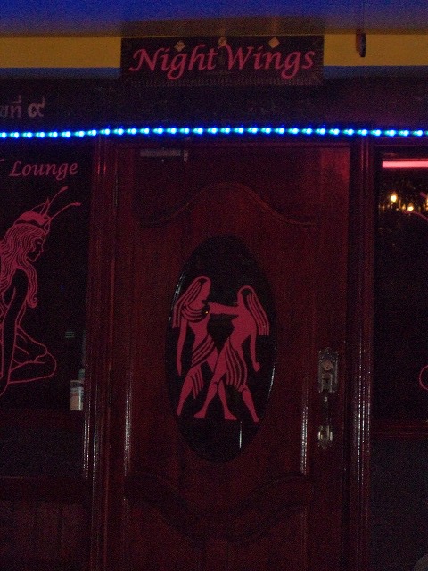 Nigtht Wings の写真